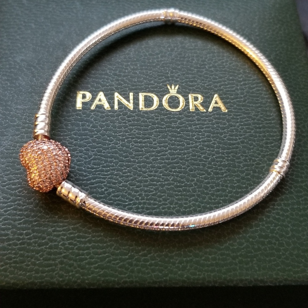Pandora Bracelet